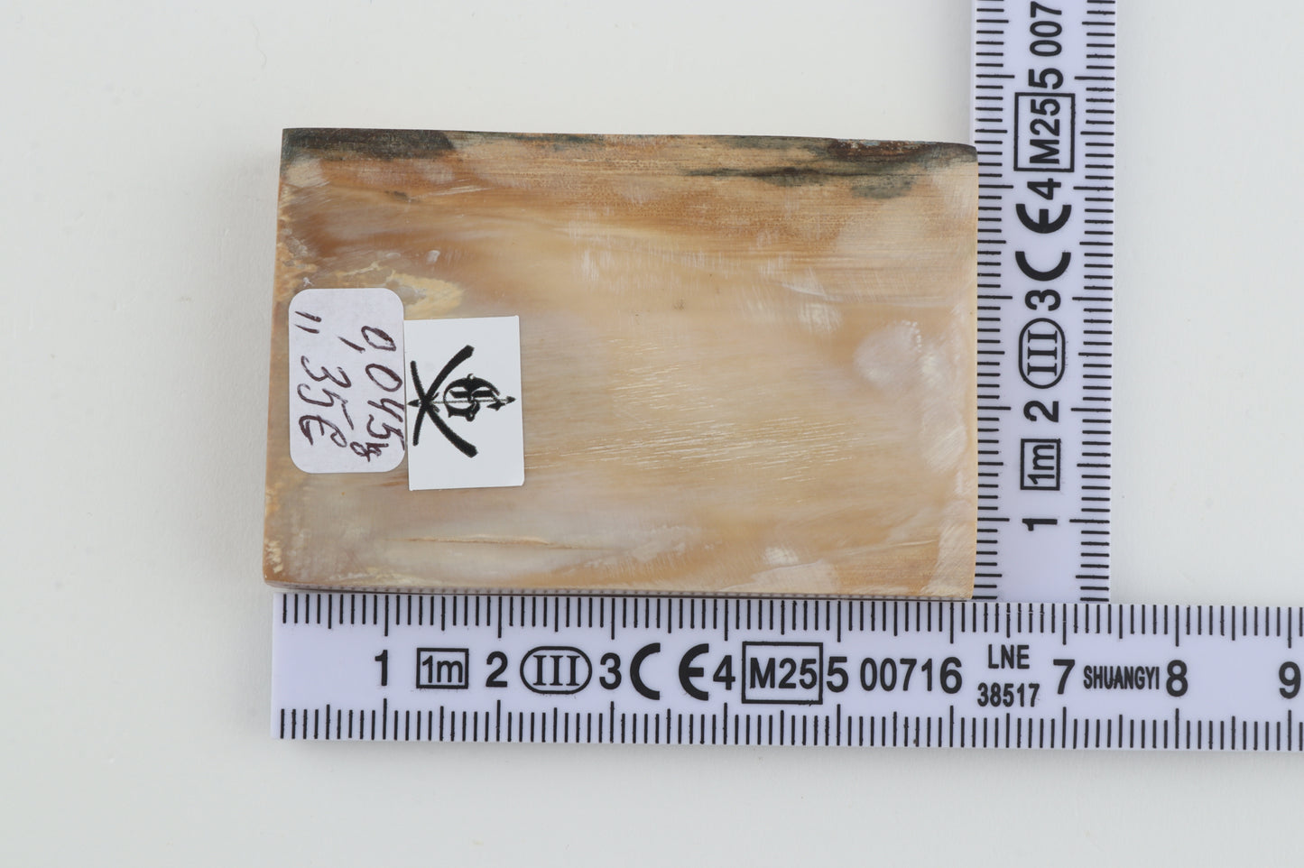 Natural mammoth ivory segment