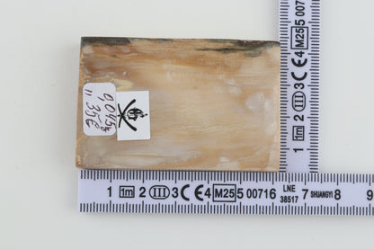 Natural mammoth ivory segment