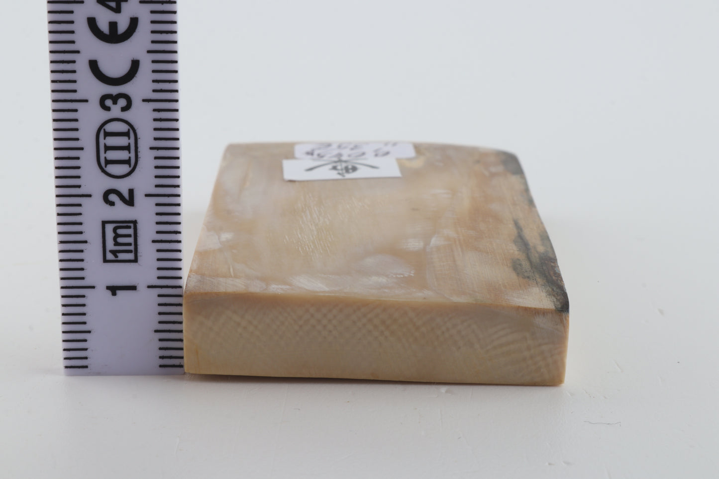 Natural mammoth ivory segment