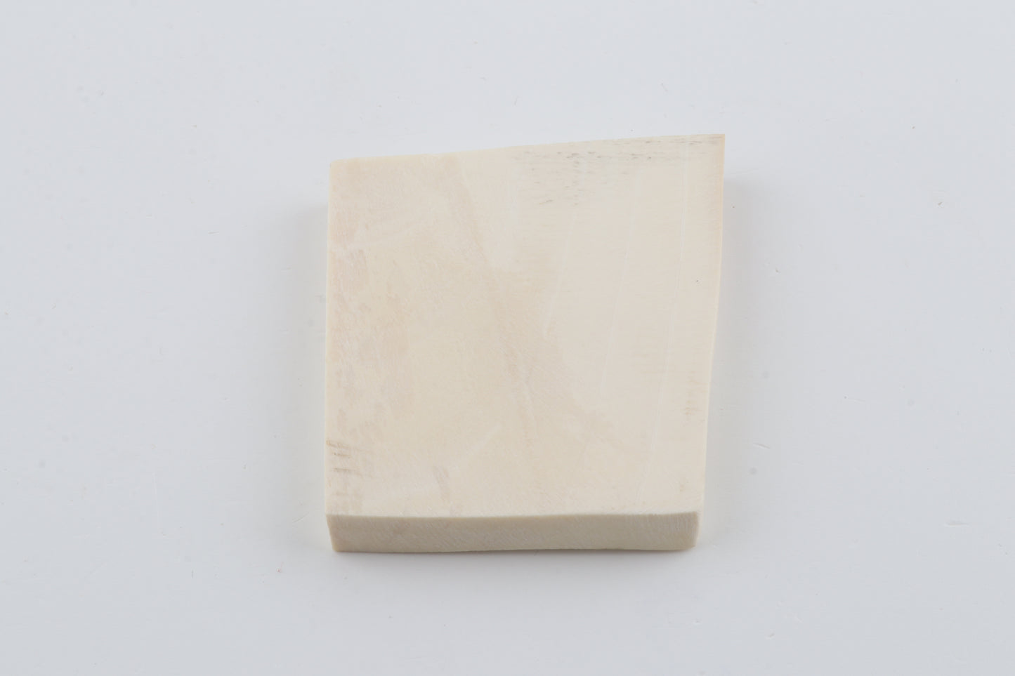 White mammoth ivory segment