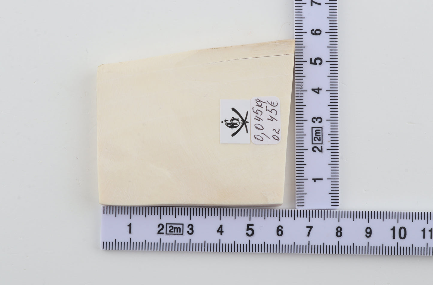 White mammoth ivory segment