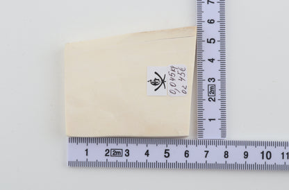 White mammoth ivory segment