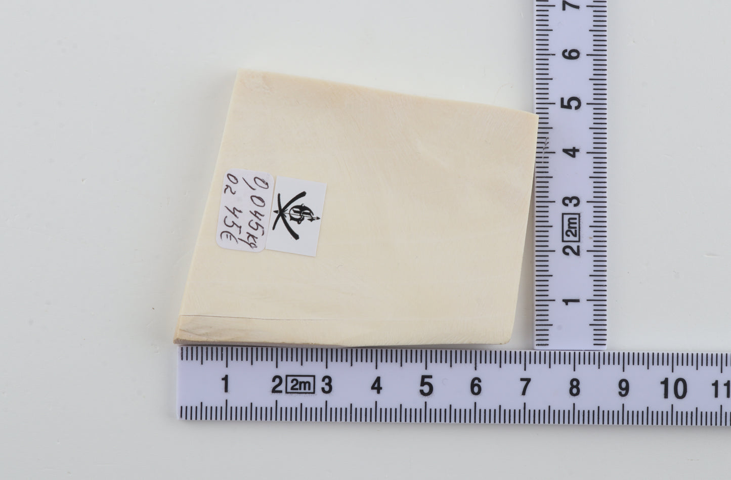 White mammoth ivory segment