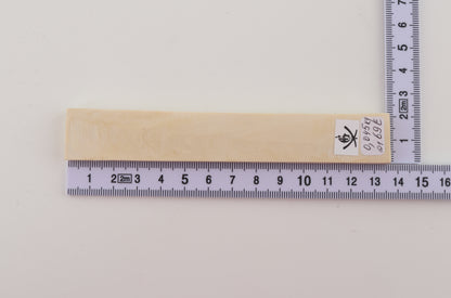 White mammoth ivory segment