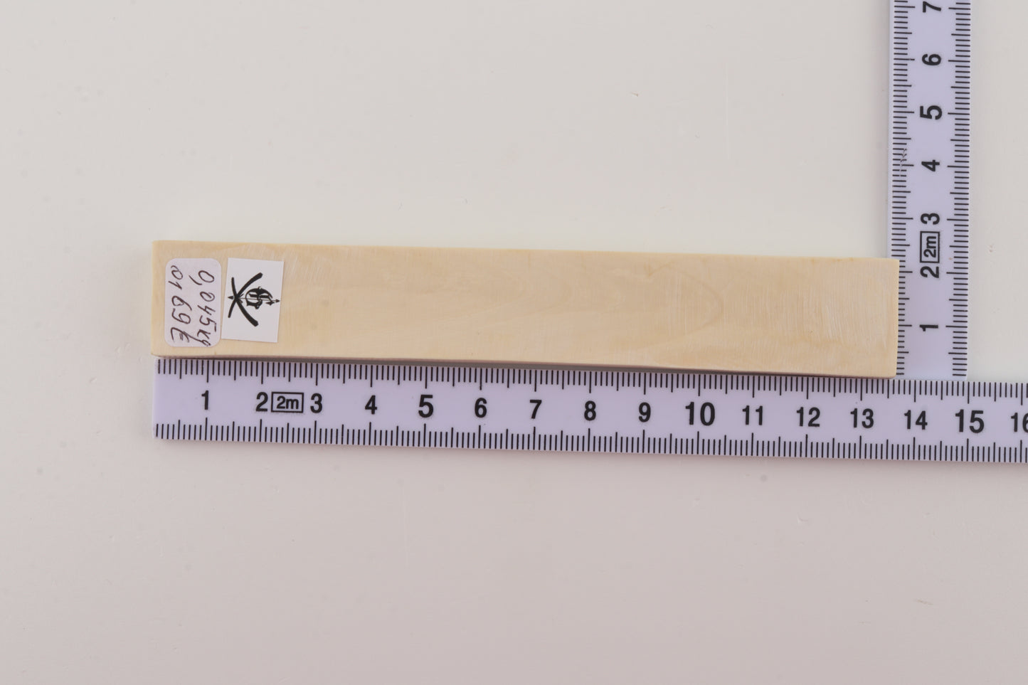 White mammoth ivory segment