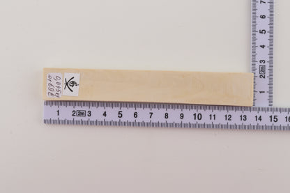 White mammoth ivory segment