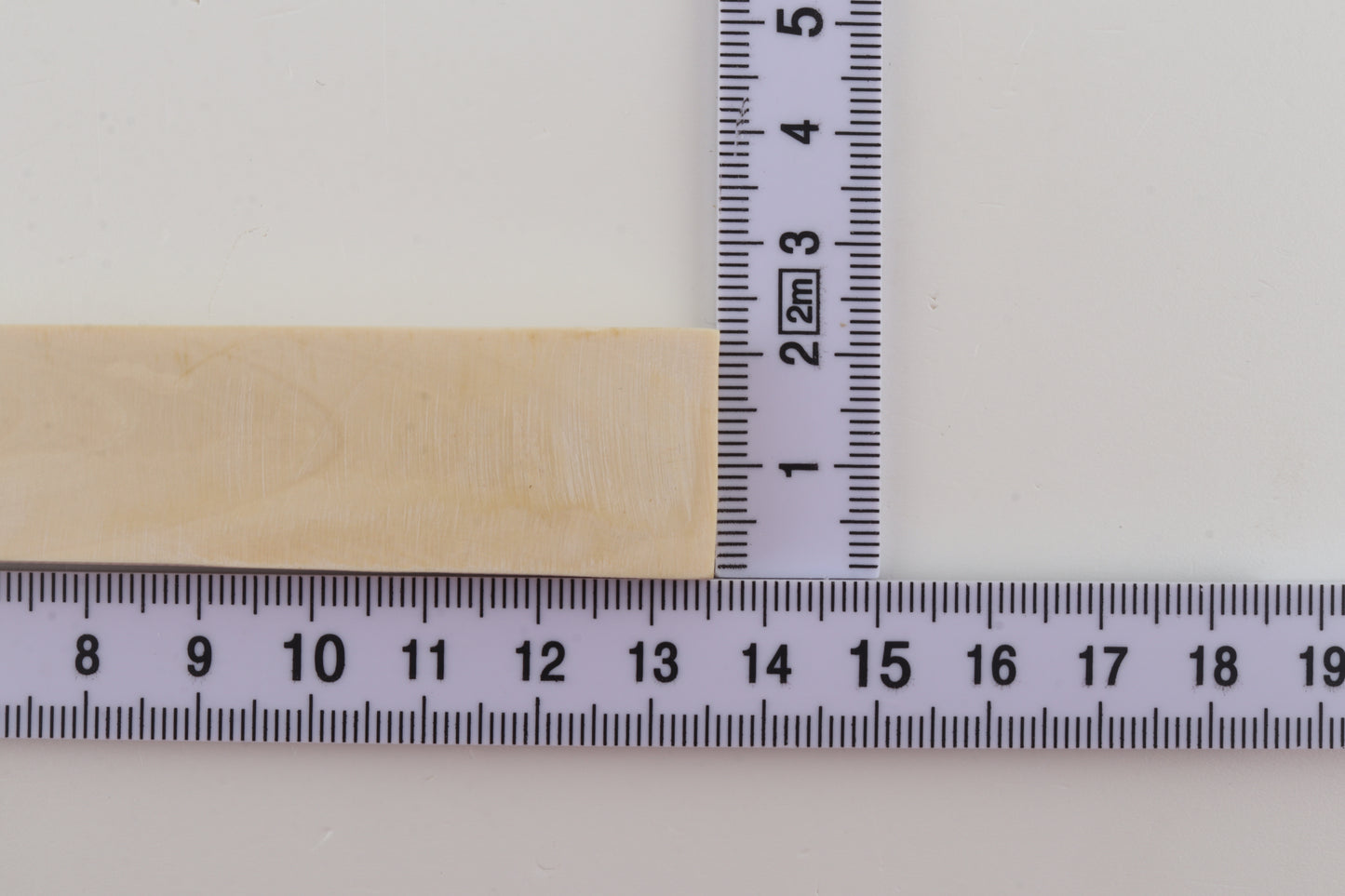 White mammoth ivory segment