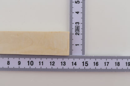 White mammoth ivory segment