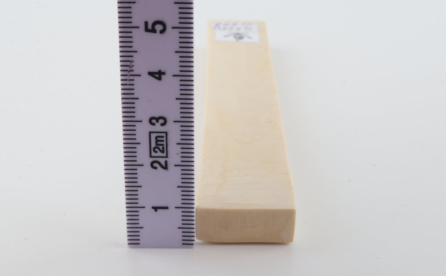 White mammoth ivory segment
