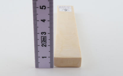 White mammoth ivory segment