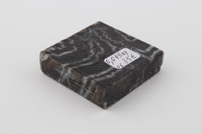 Stabilized mammoth molar piece