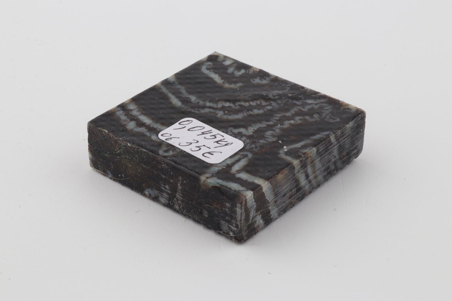 Stabilized mammoth molar piece