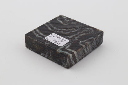 Stabilized mammoth molar piece