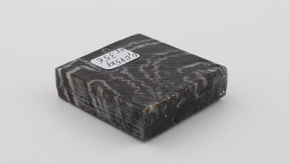 Stabilized mammoth molar piece