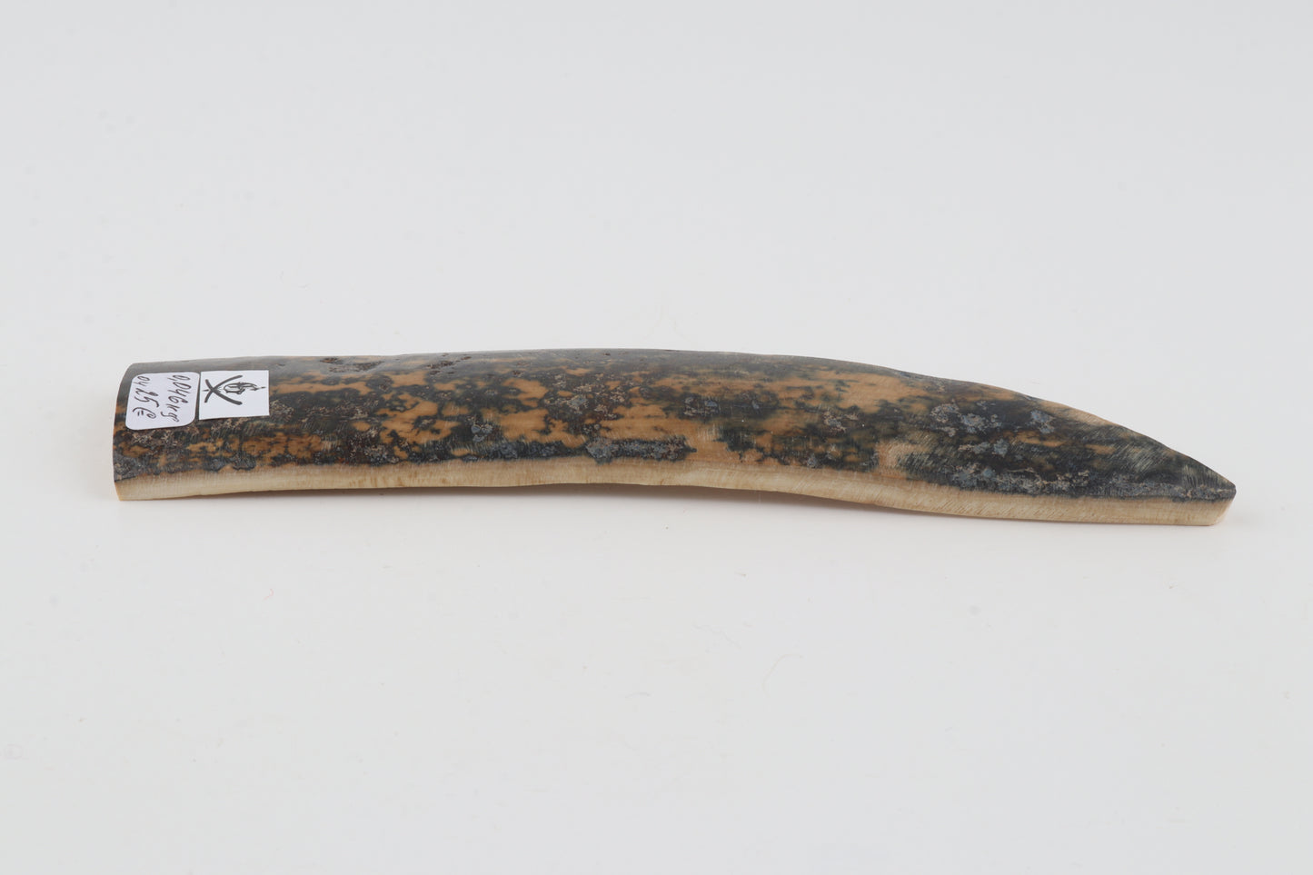 Natural mammoth bark