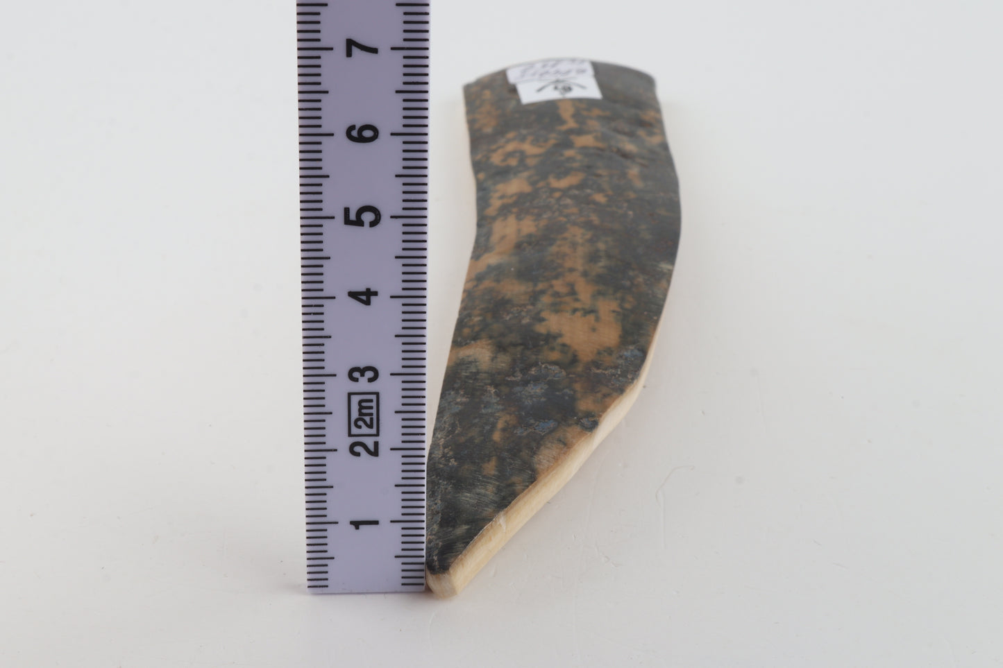 Natural mammoth bark