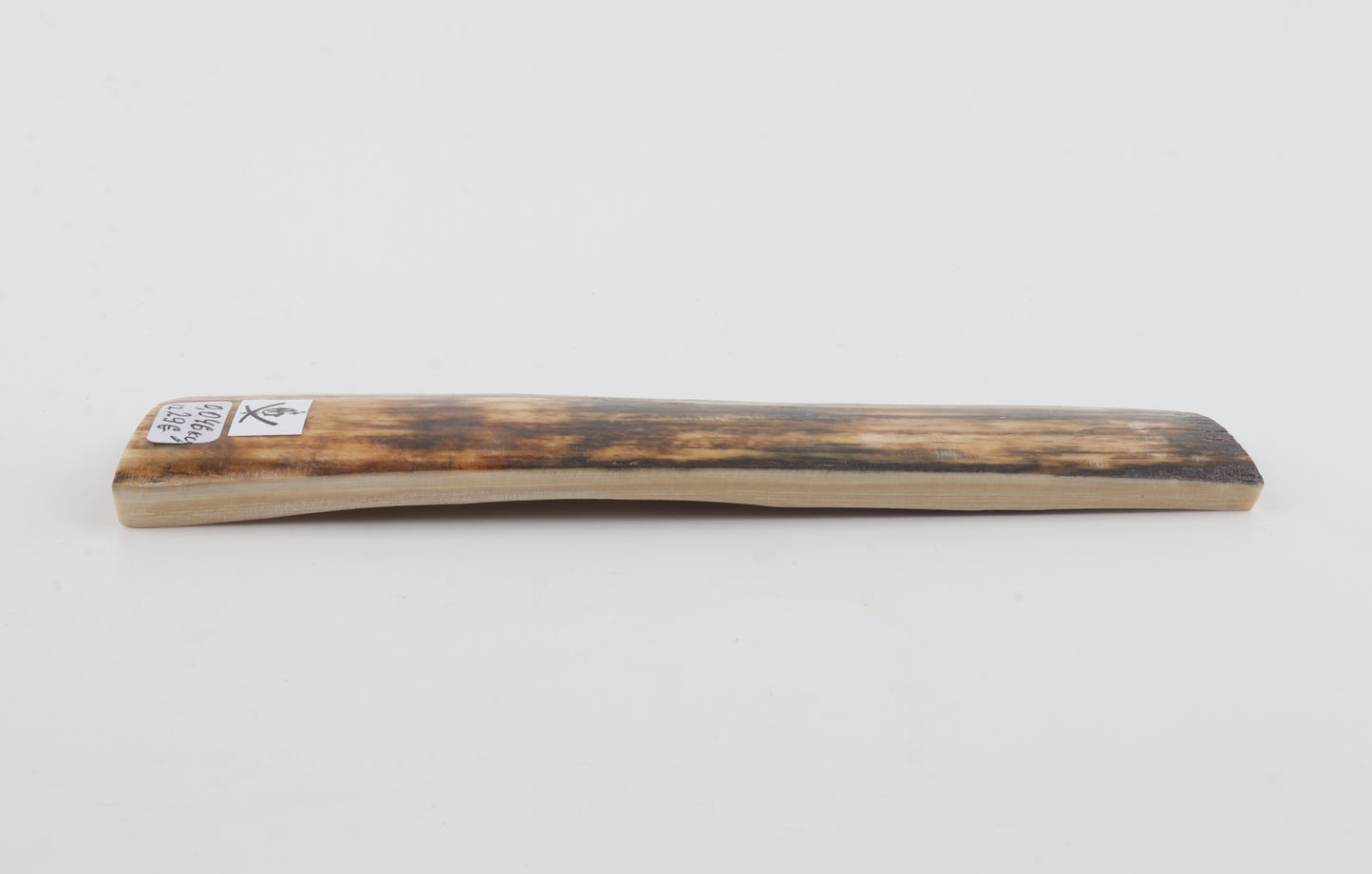 Brown mammoth bark