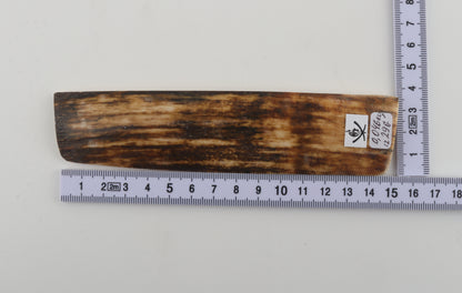 Brown mammoth bark