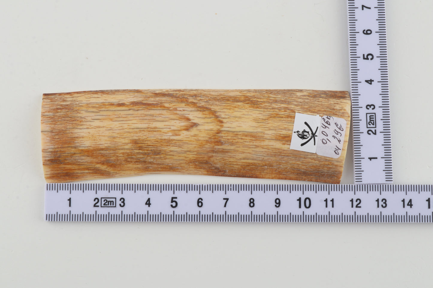 Orange mammoth bark