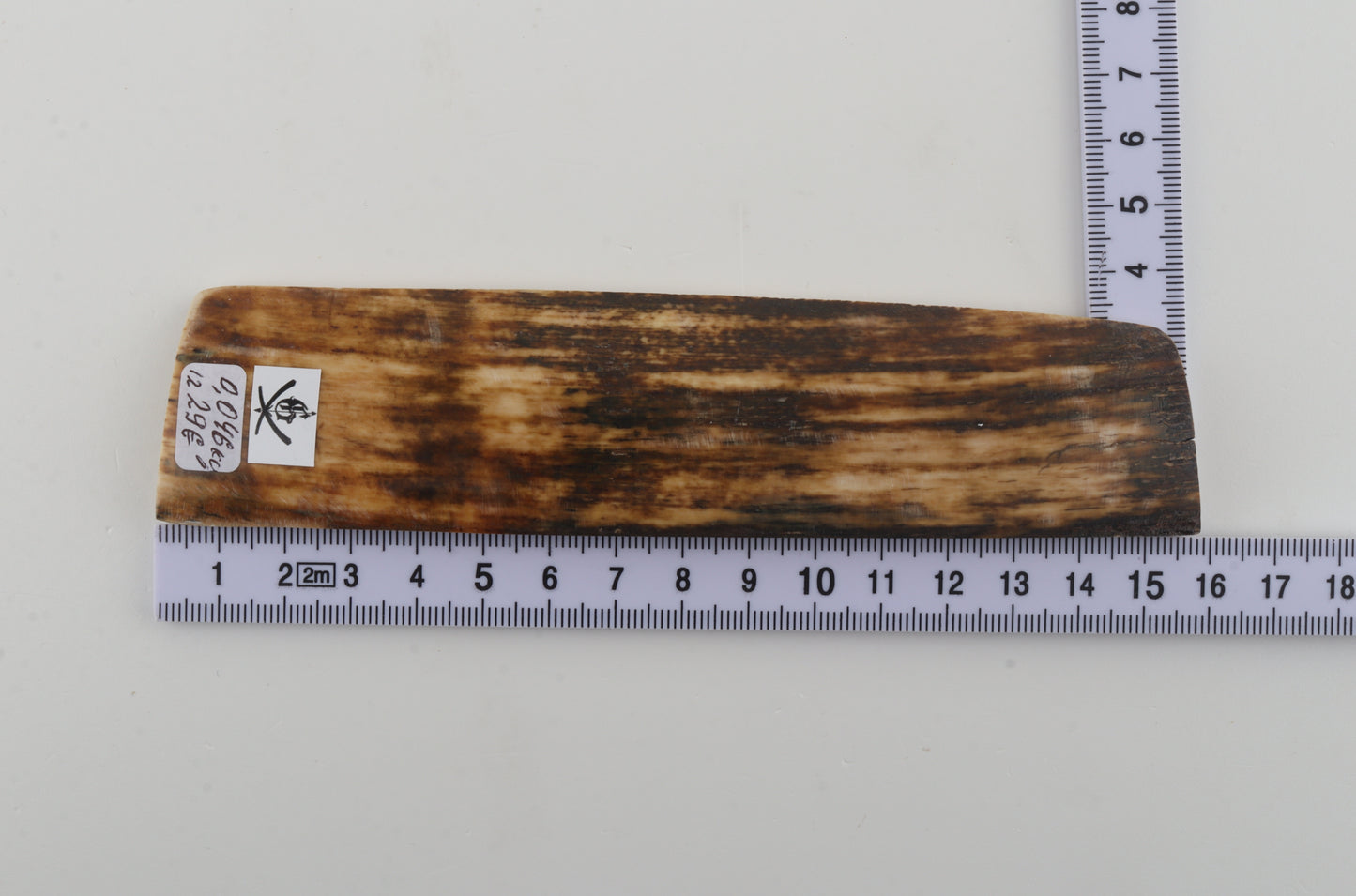 Brown mammoth bark