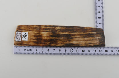 Brown mammoth bark