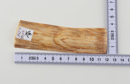 Orange mammoth bark