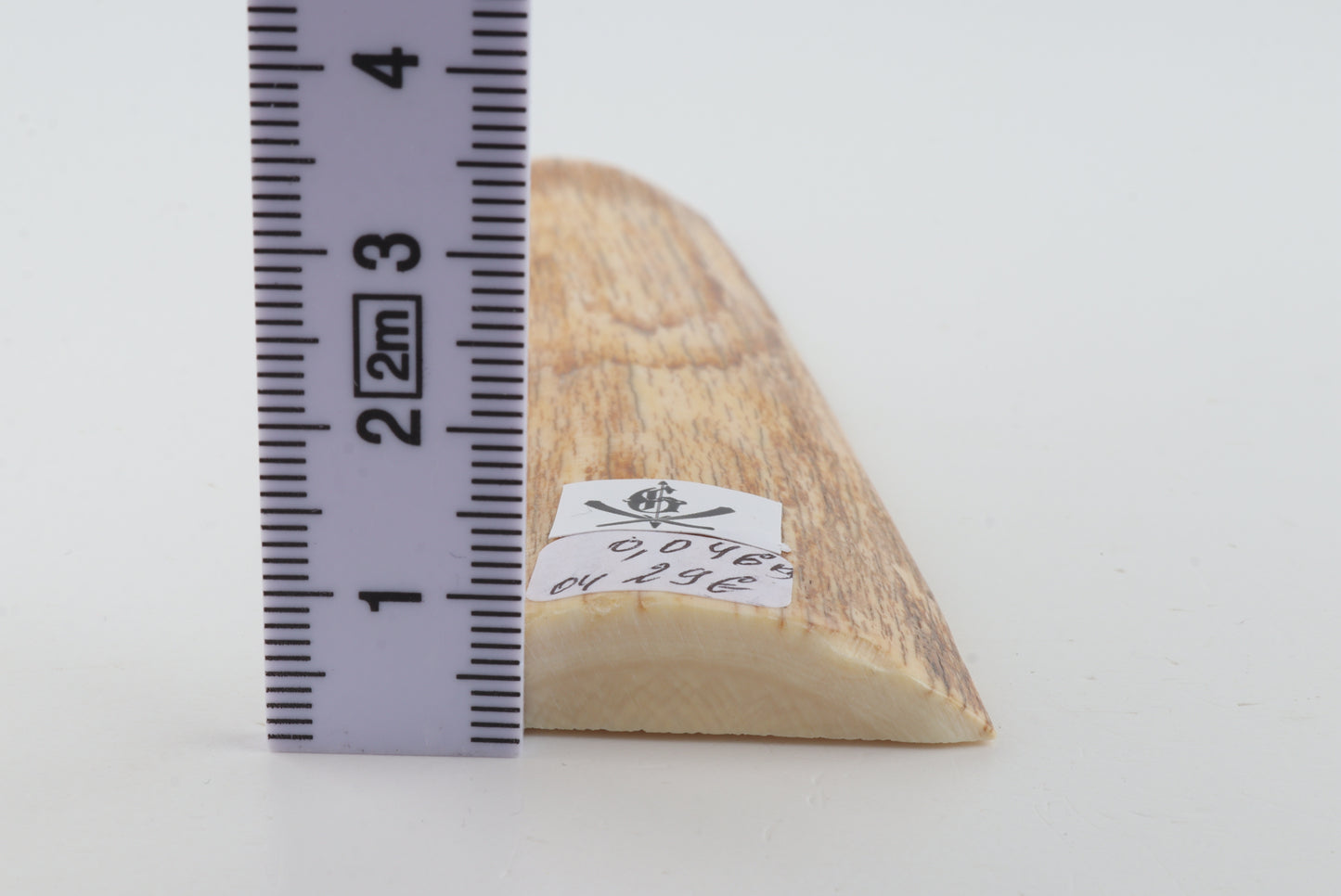 Orange mammoth bark