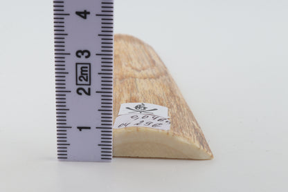 Orange mammoth bark