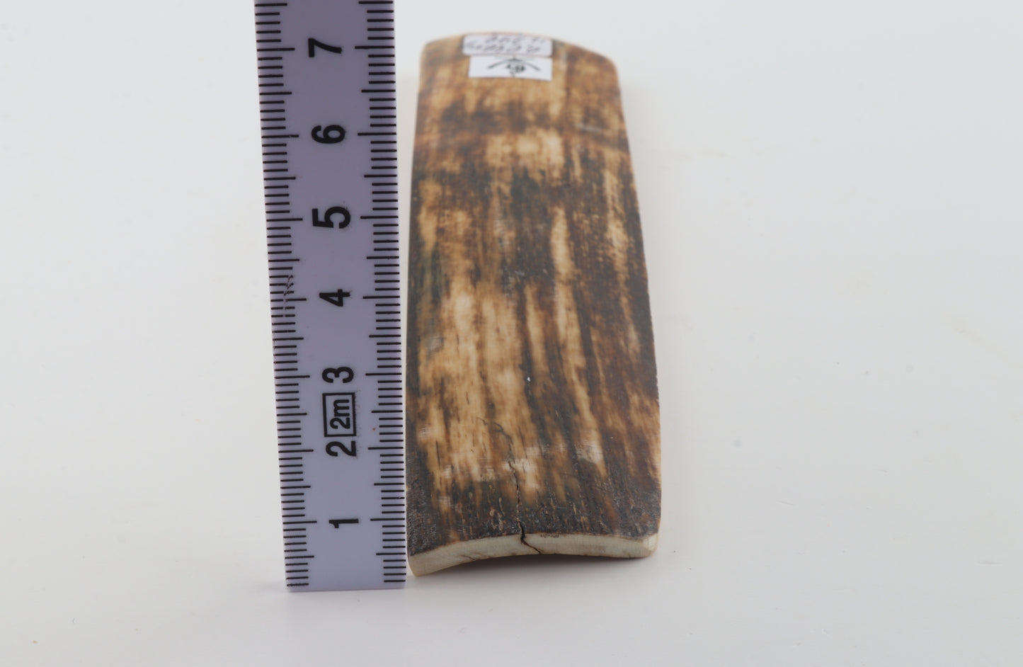 Brown mammoth bark