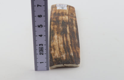 Brown mammoth bark