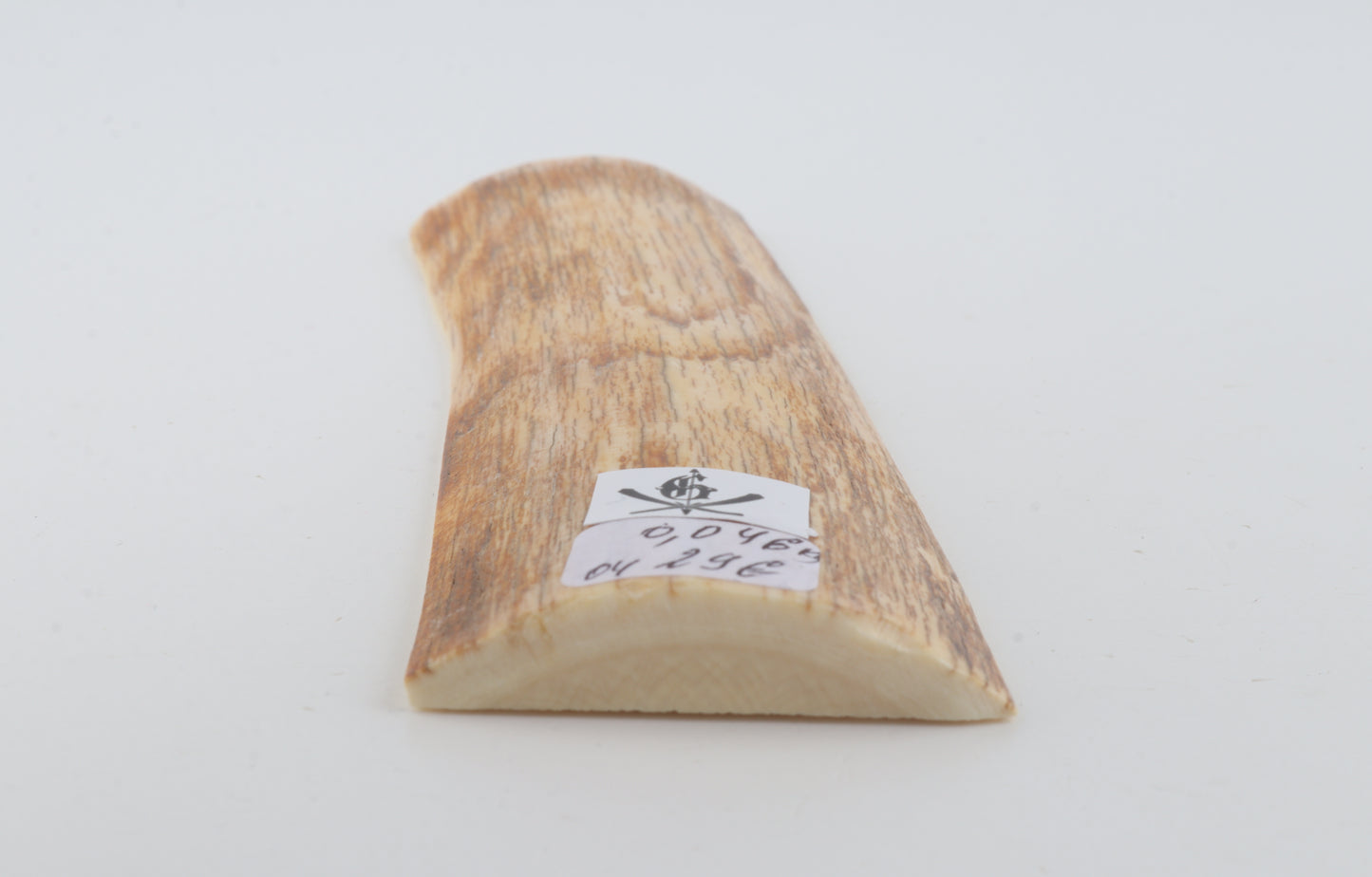 Orange mammoth bark