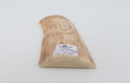 Orange mammoth bark