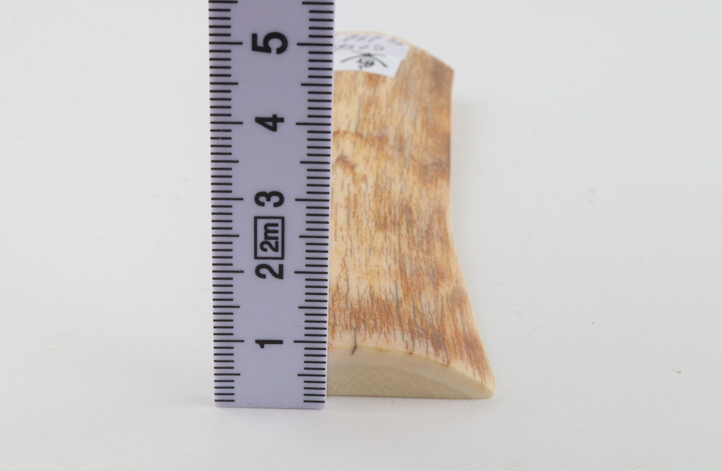 Orange mammoth bark