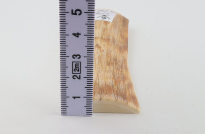 Orange mammoth bark