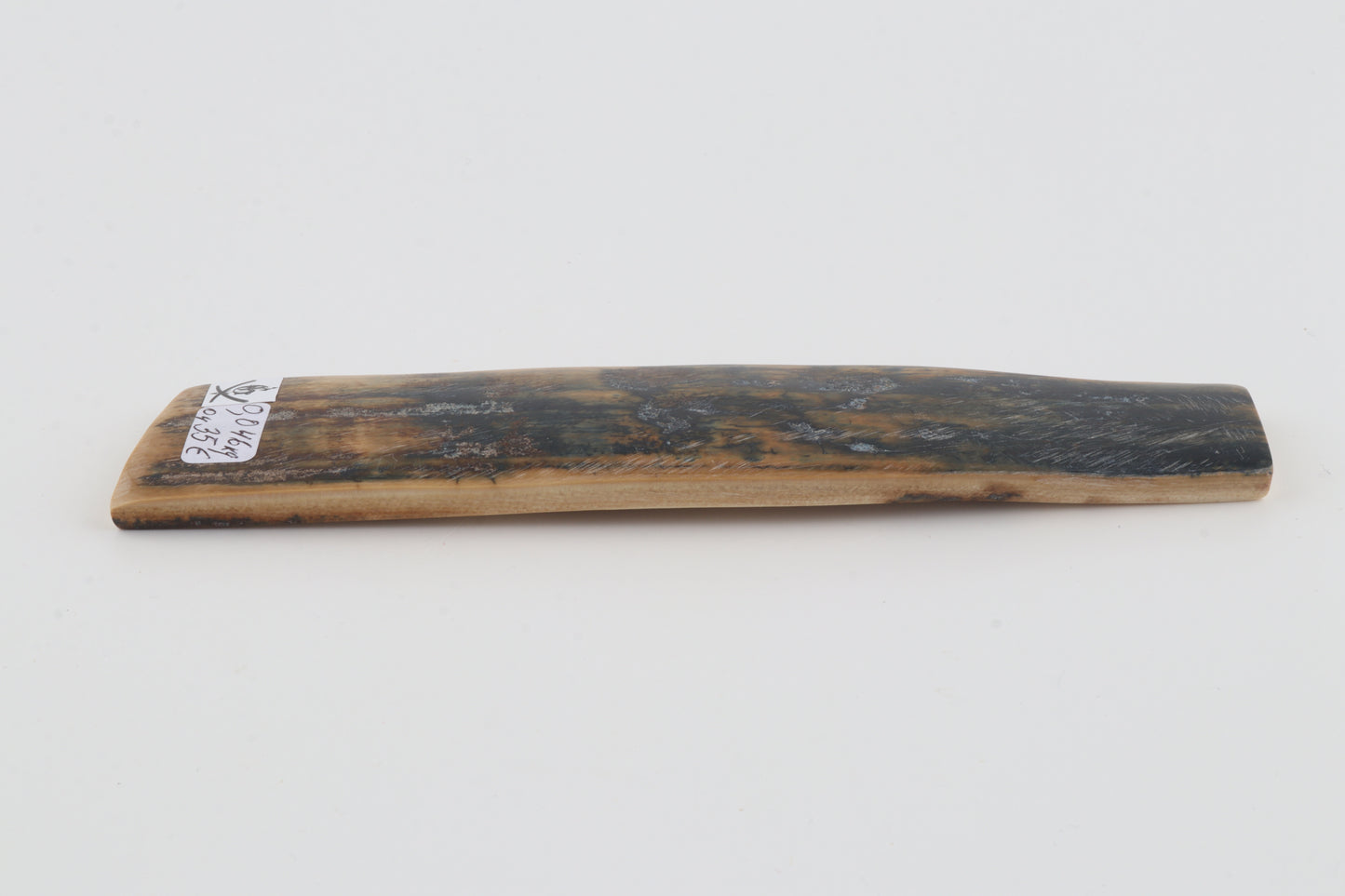 Beige-blue mammoth bark