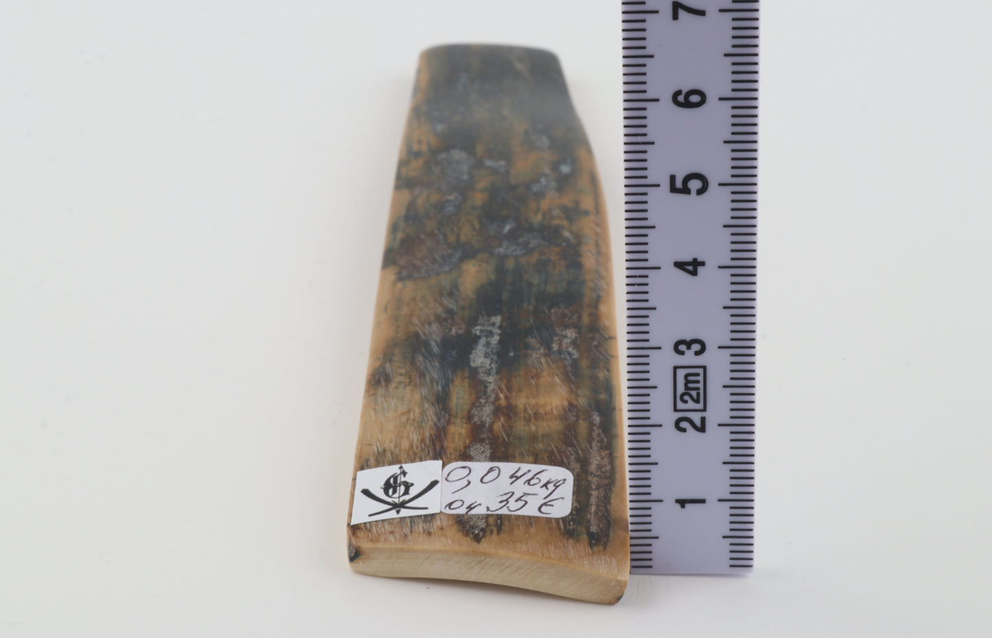 Beige-blue mammoth bark