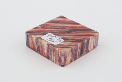 Stabilised mammoth molar piece