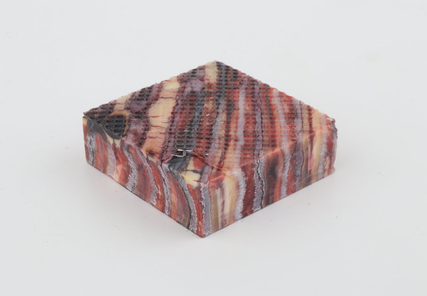 Stabilised mammoth molar piece