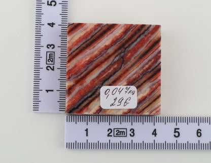 Stabilised mammoth molar piece