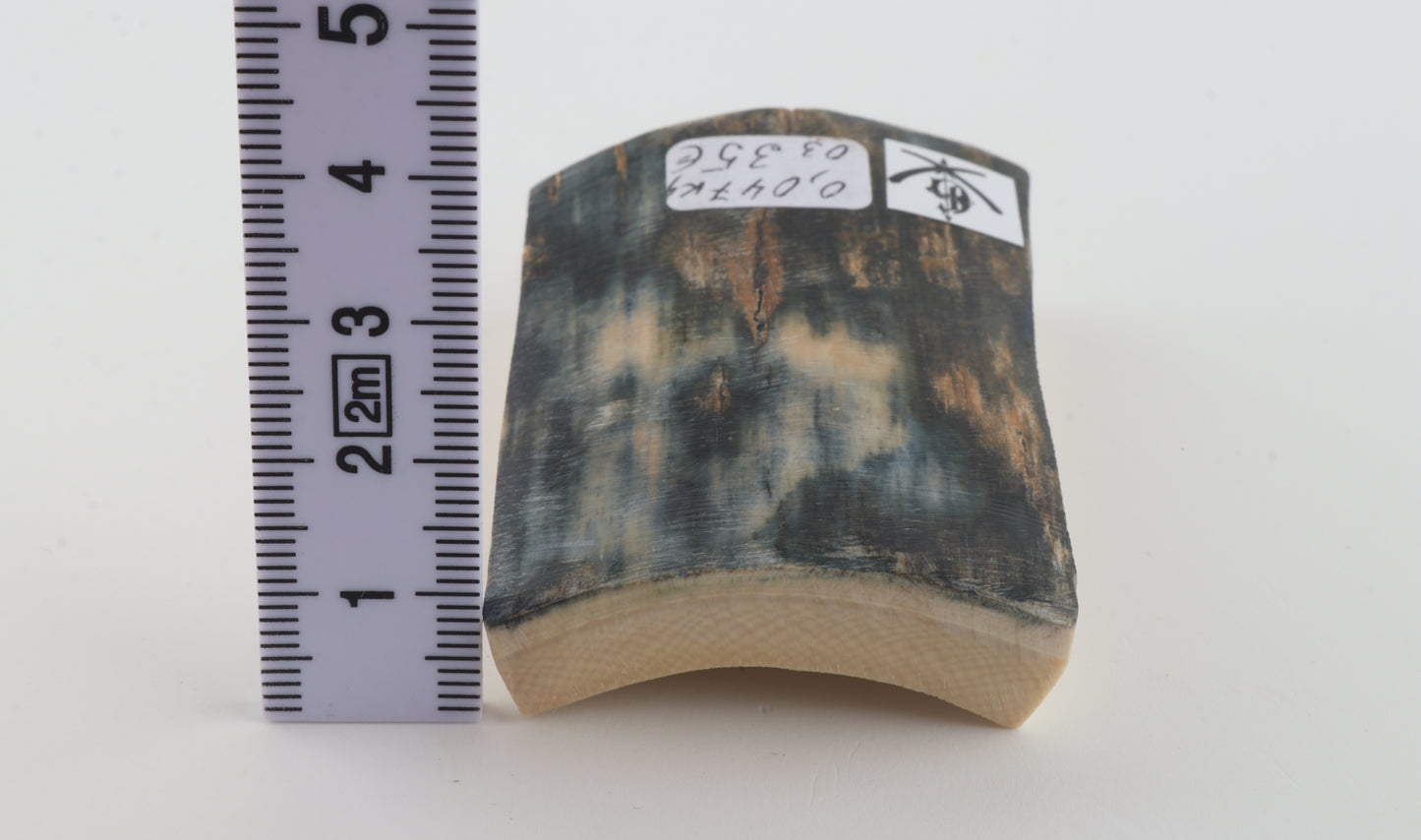 Blue mammoth bark