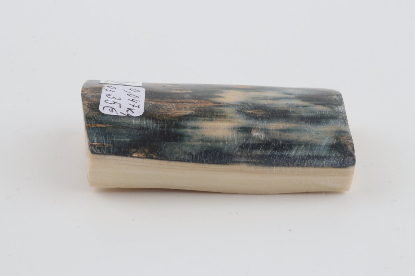 Blue mammoth bark