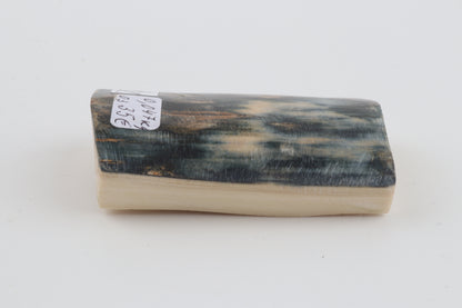 Blue mammoth bark