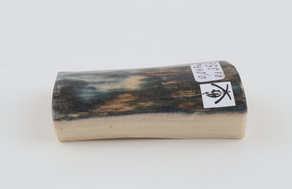 Blue mammoth bark