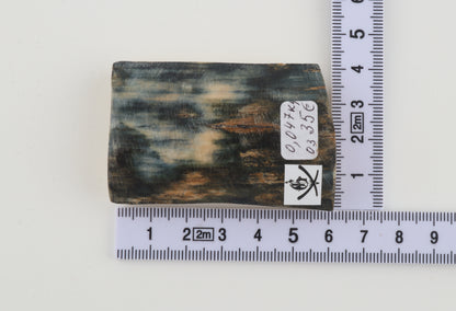 Blue mammoth bark