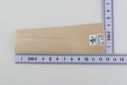 White mammoth bark