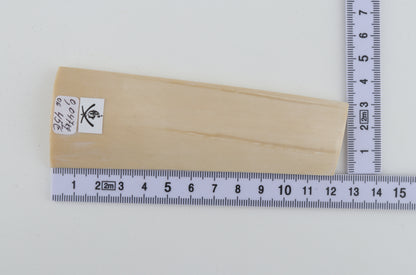 White mammoth bark