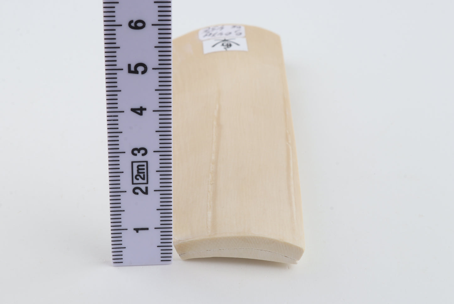 White mammoth bark