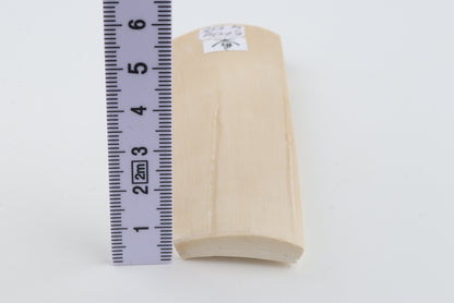 White mammoth bark