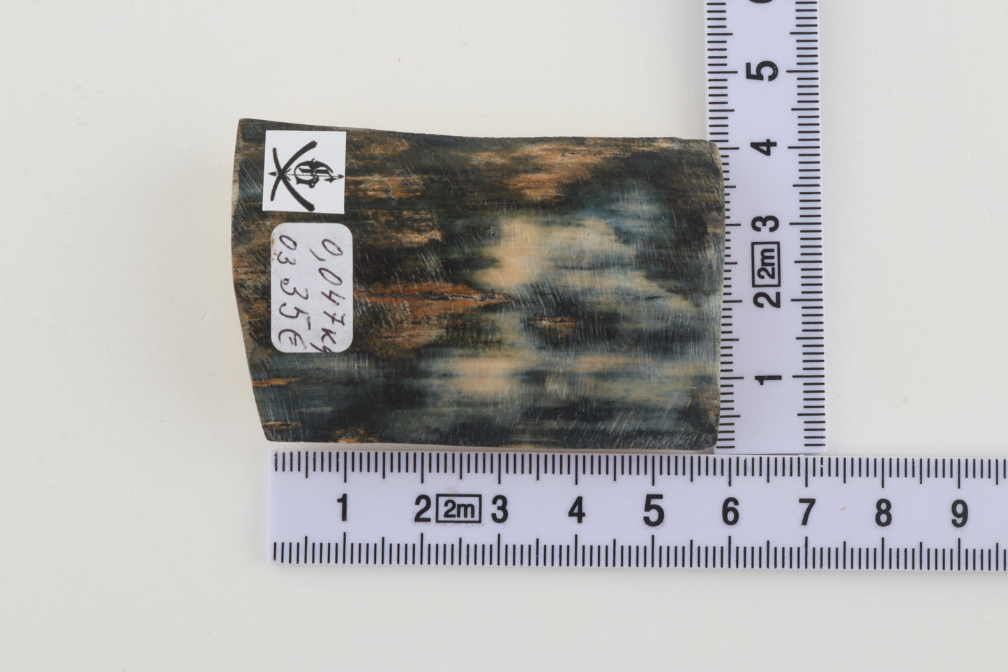 Blue mammoth bark