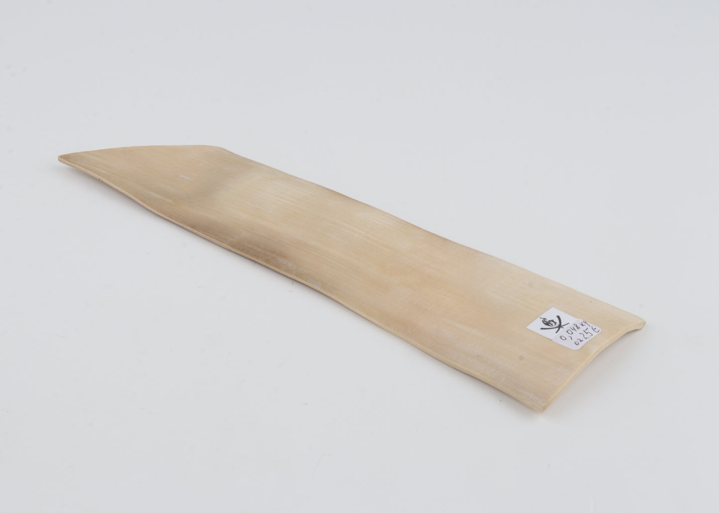 Natural mammoth ivory piece